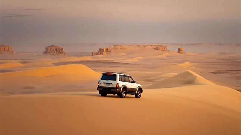 Shery Tours Egypt: egypt safari